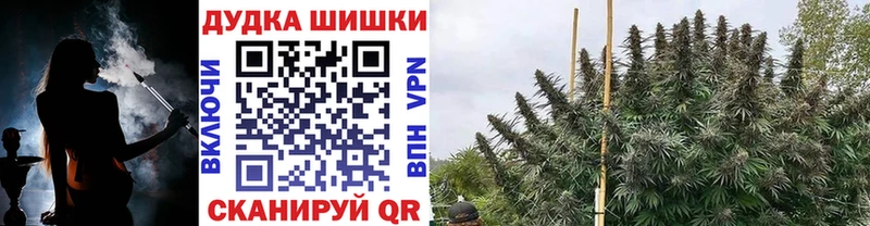 Купить наркотики Тайга Псилоцибиновые грибы COCAIN МЕФ АМФЕТАМИН Конопля Alpha-PVP ГАШИШ
