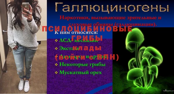 дмт Ростов