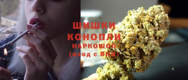 твердый Протвино